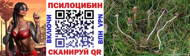Галлюциногенные грибы мухоморы  Кандалакша 