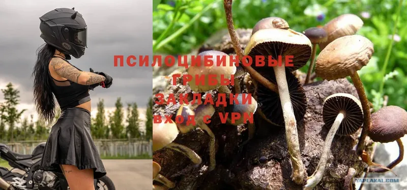 Псилоцибиновые грибы MAGIC MUSHROOMS  hydra зеркало  Кандалакша 