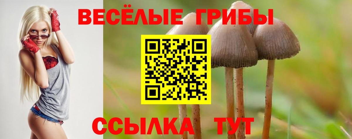 Хэш  Альфа ПВП  Кандалакша  Ляпка  Конопля  Меф  25-NBOMe  МЕФ  Вход с VPN  Кокаин 