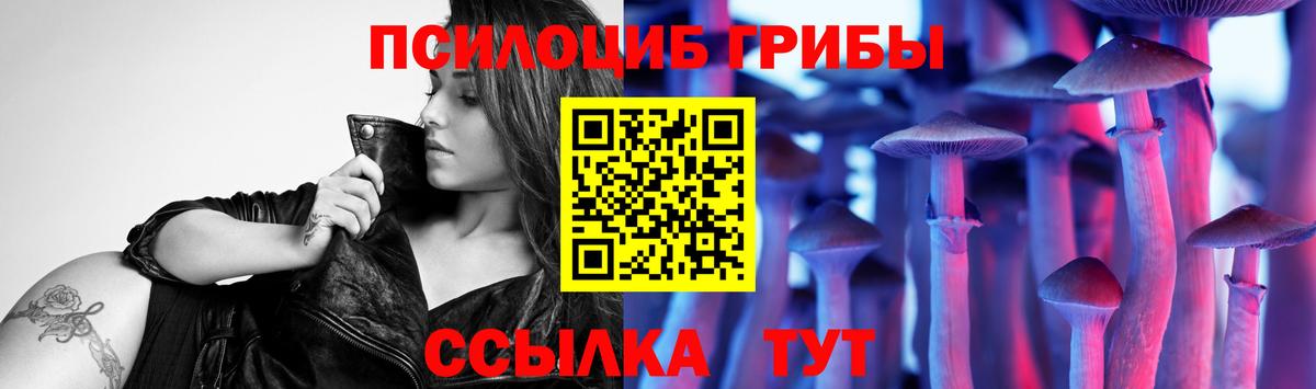 ГАШИШ Кандалакша